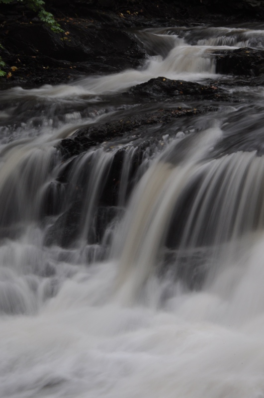 DSC_0192.JPG