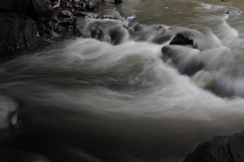 DSC_0203.JPG