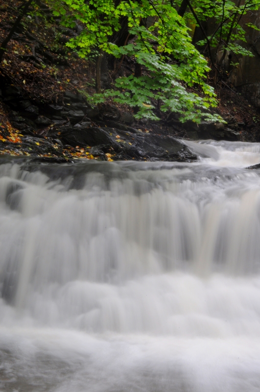 DSC_0217.jpg