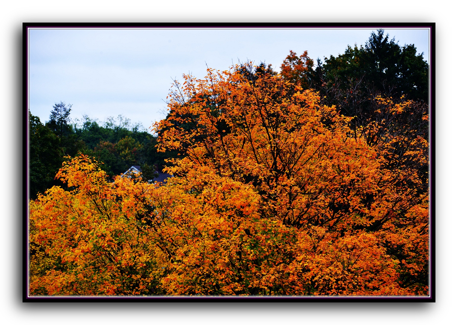 DSC_2892.jpg
