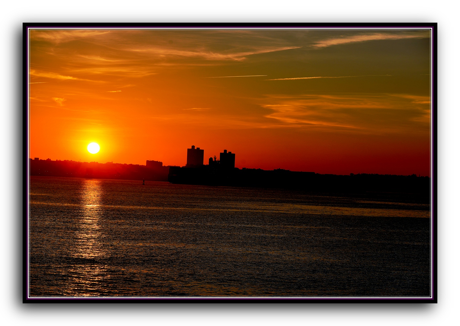 DSC_2379.jpg