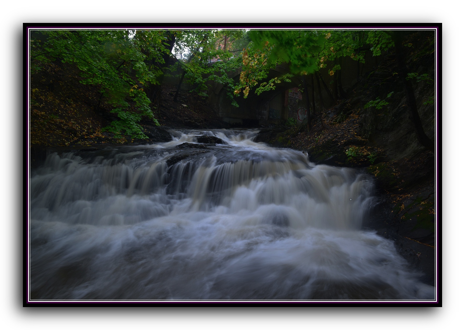 DSC_2743.jpg