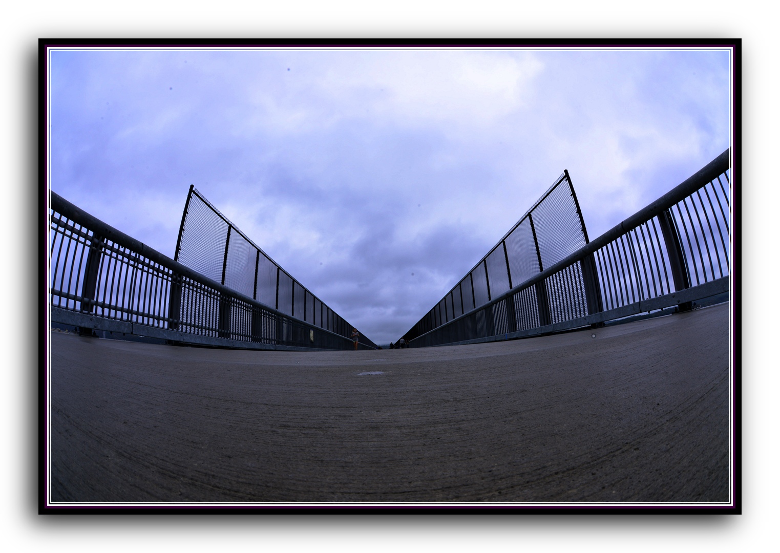 DSC_2862.jpg