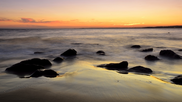 _DSC4605_01.JPG