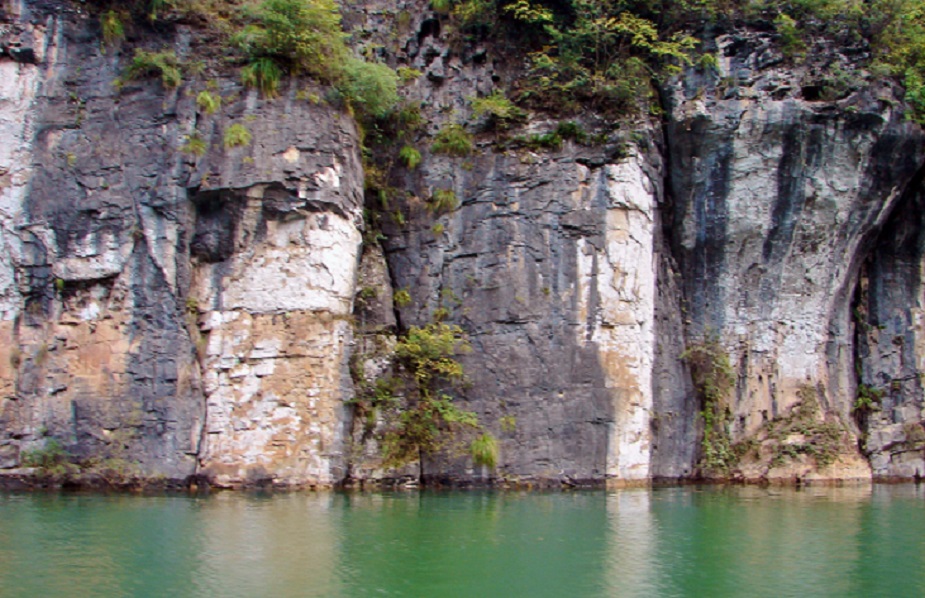 DSC02101 - .JPG