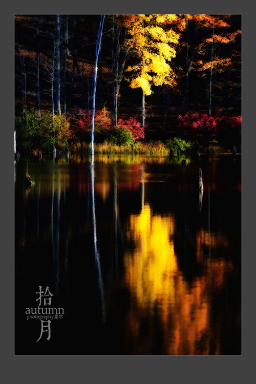 DSC_3296ss.jpg
