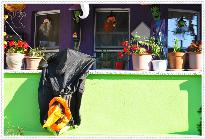 DSC_0889.jpg