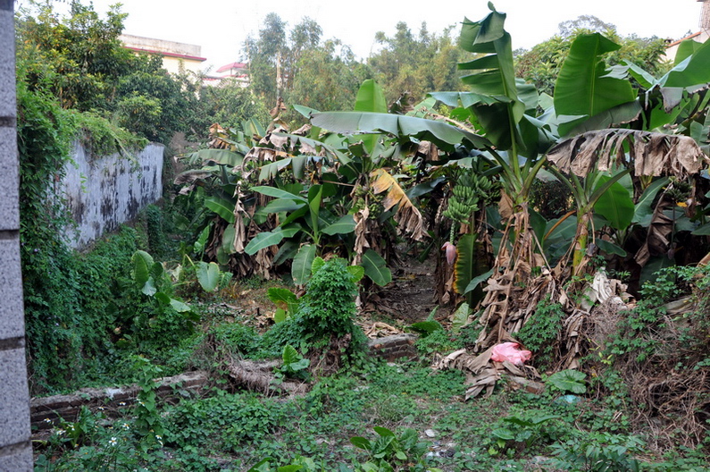 Ƭ 045.jpg