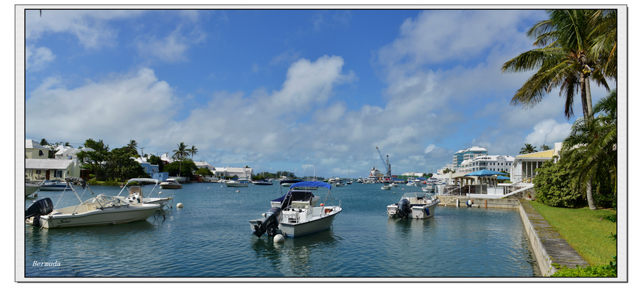 DSC_0023.jpg