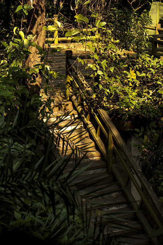 DSC_9598.jpg
