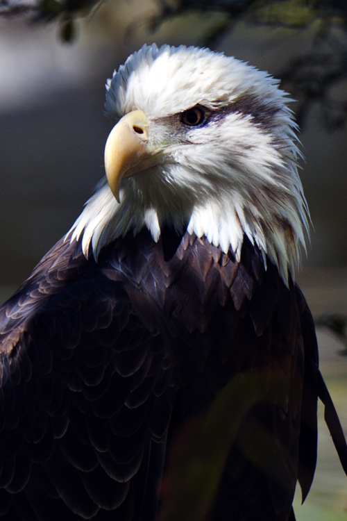 301_0814aa.jpg