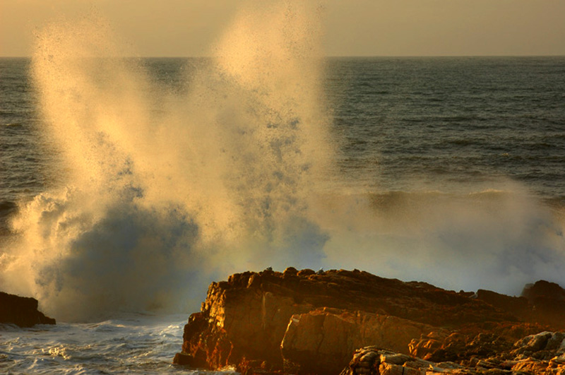 DSC_0068.jpg