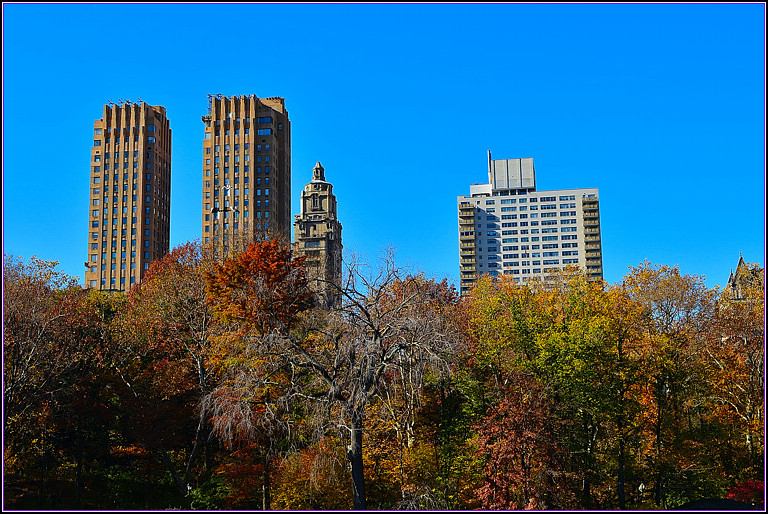 DSC_1029.jpg