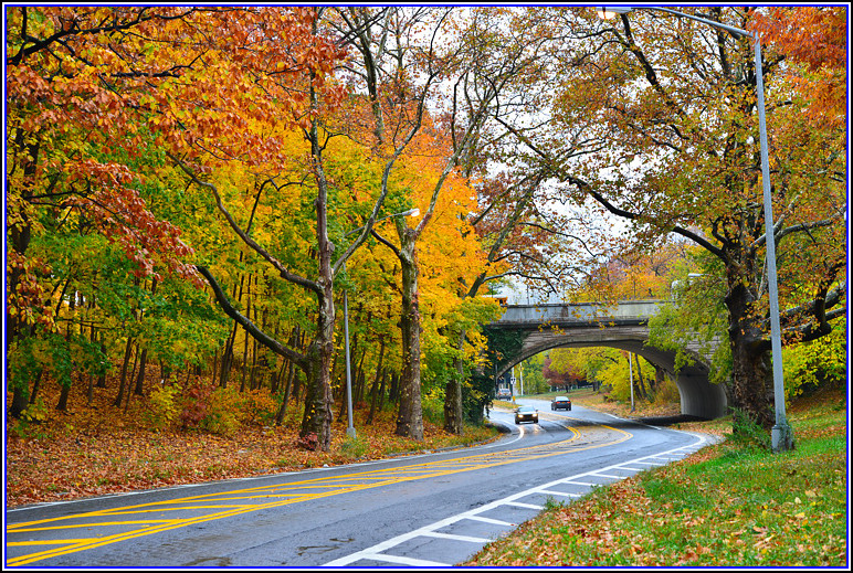 DSC_0727.jpg