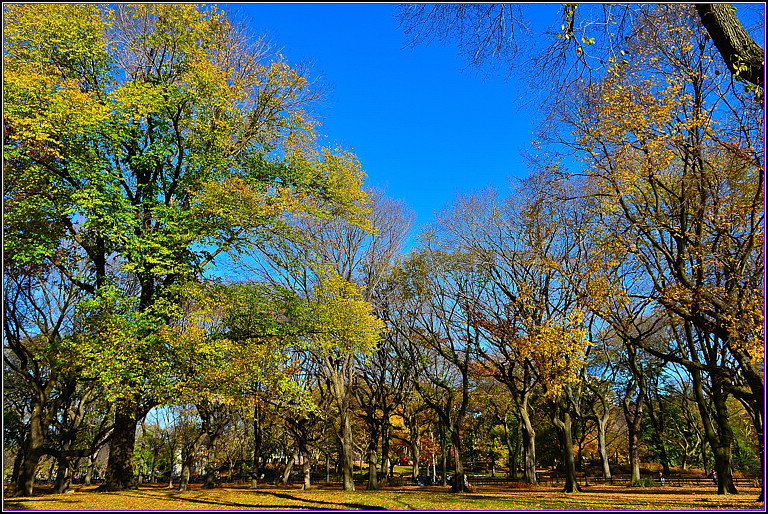 DSC_1122.jpg