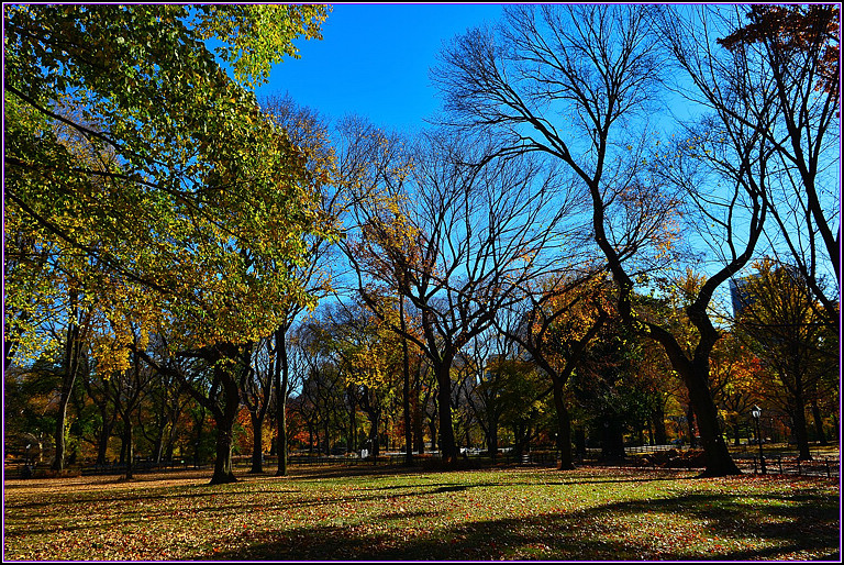 DSC_1124.jpg
