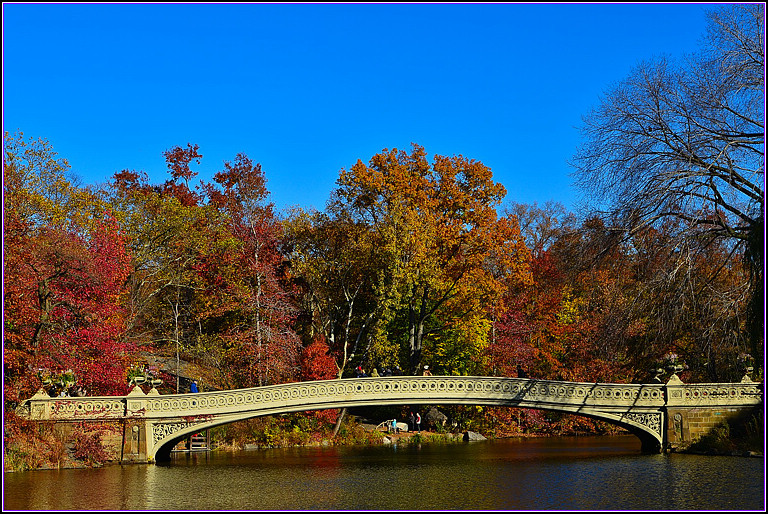 DSC_1023.jpg