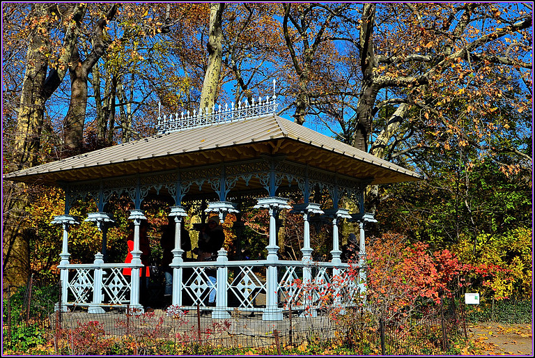 DSC_0950.jpg