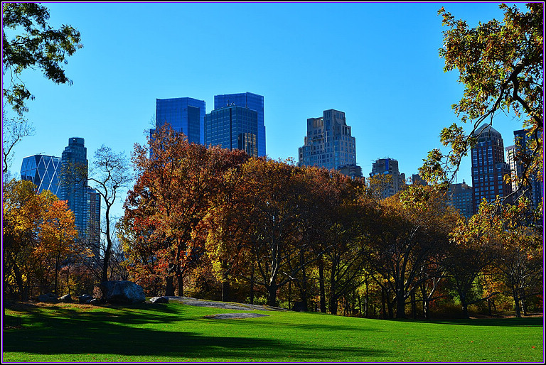 DSC_1115.jpg