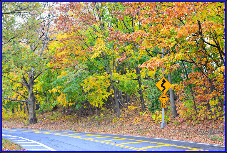 DSC_0747.jpg