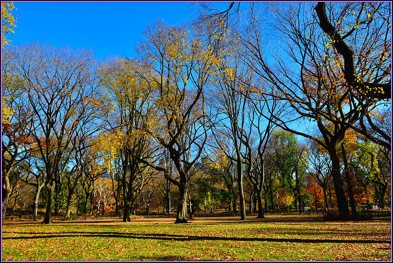 DSC_1123.jpg