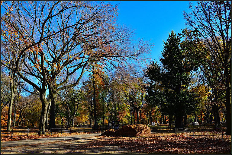 DSC_1119.jpg