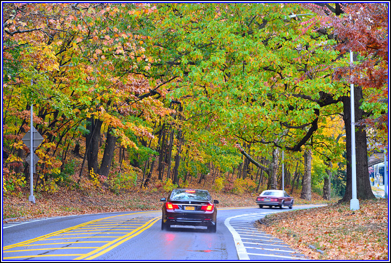 DSC_0715.jpg
