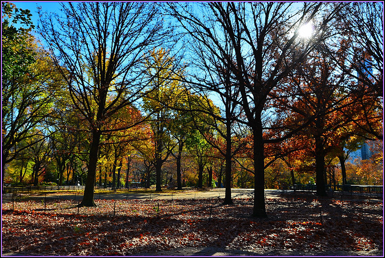DSC_1120.jpg
