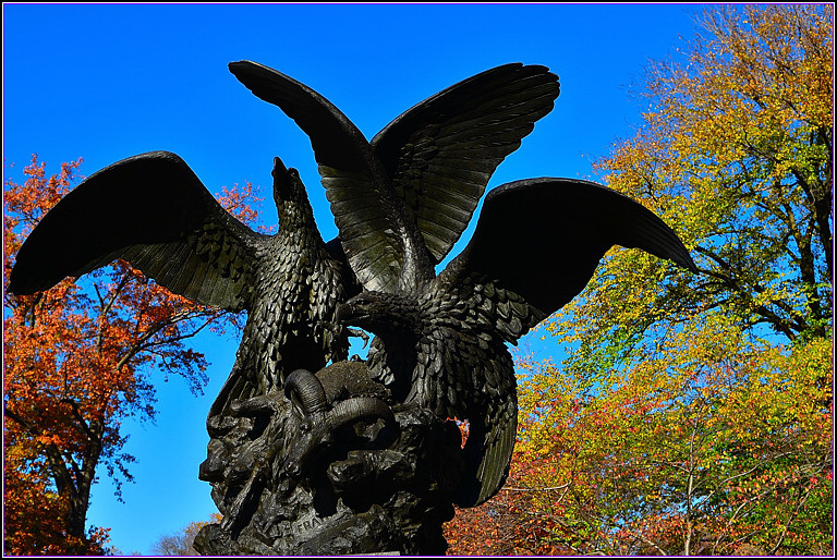 DSC_1133.jpg