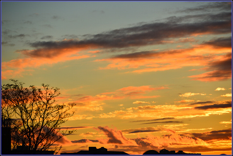 DSC_0886.jpg