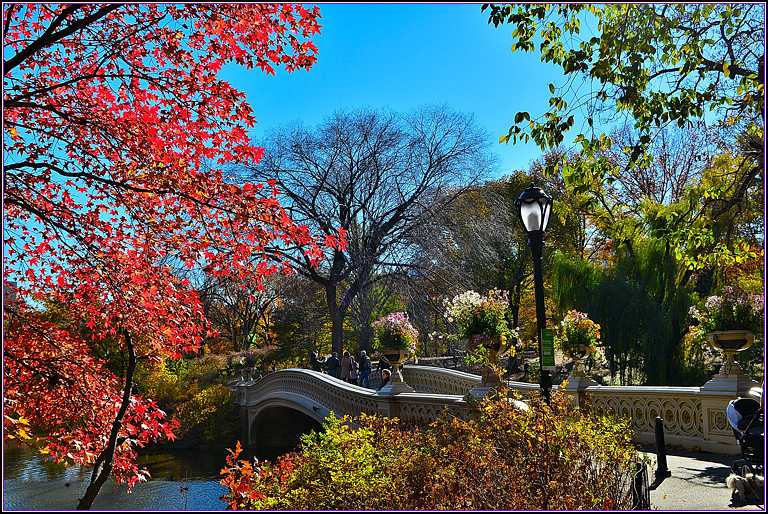 105_35199_657b2d05c72707c[1].jpg