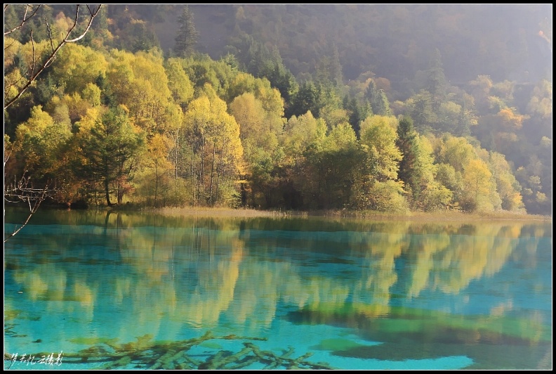 կƬ 316_conew2.jpg