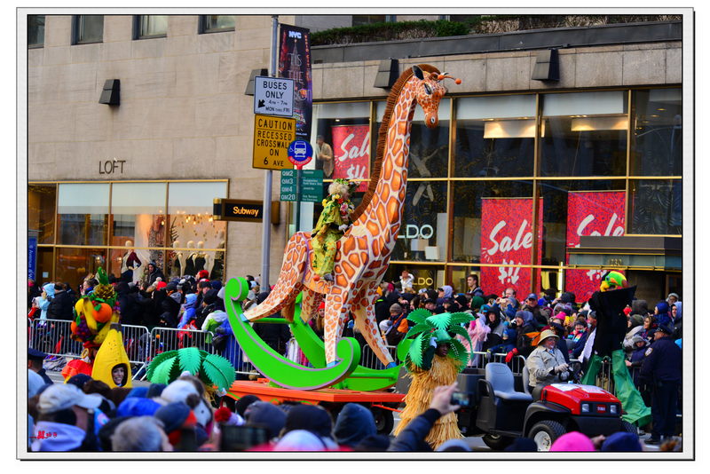 DSC_5323.jpg