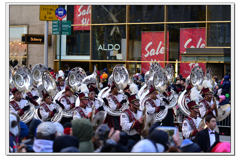 DSC_5653.jpg