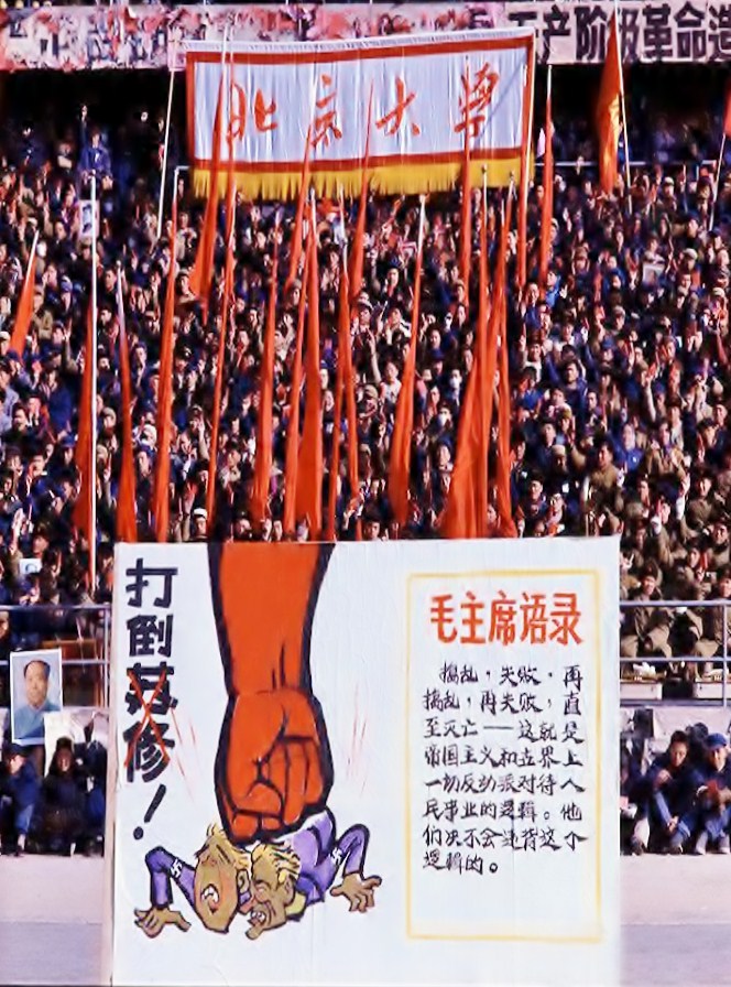3962023_980x1200_0.jpg