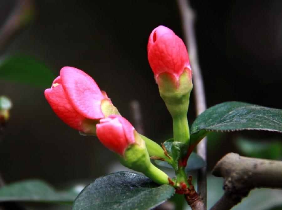 36759712_106.jpg