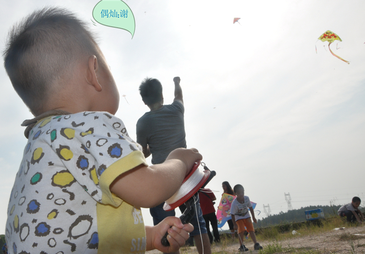 Ƭ 081.jpg