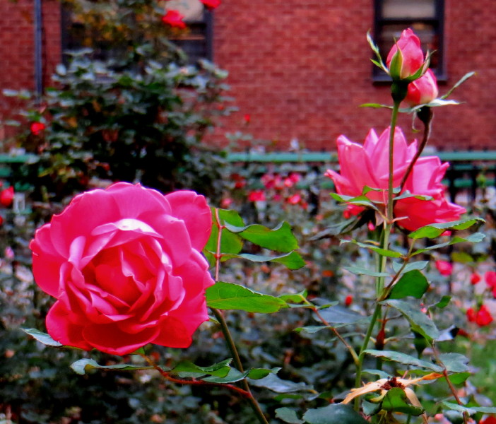 IMG_0001_5646.jpg