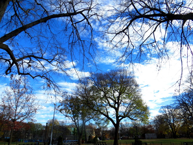 IMG_0001_6020.jpg