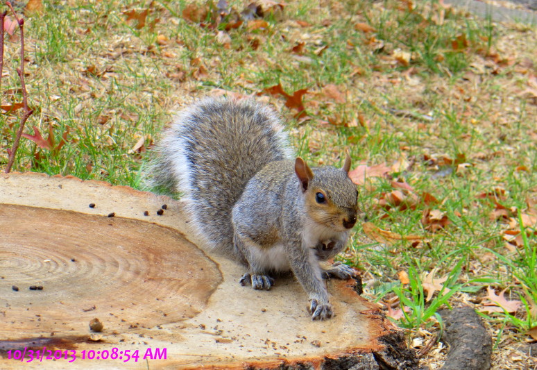 IMG_0001_5806.jpg