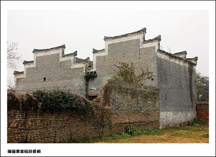 IMG_4277_conew1.jpg
