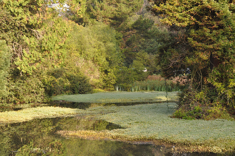 Golden gate park 095_.jpg