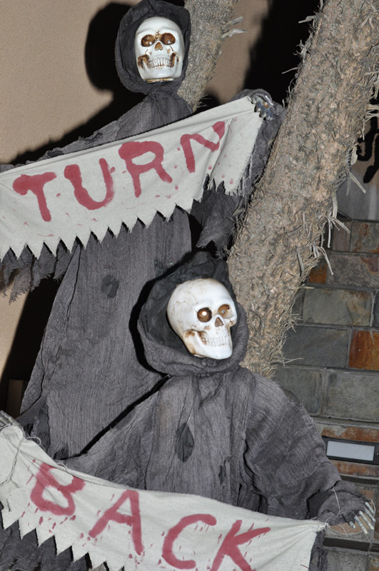 Halloween 009_.jpg
