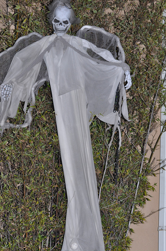 Halloween 023_.jpg