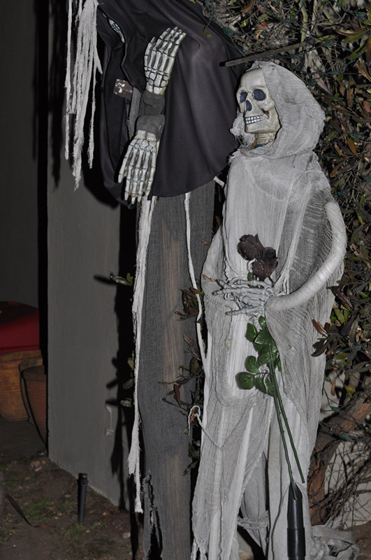 Halloween 006_.jpg