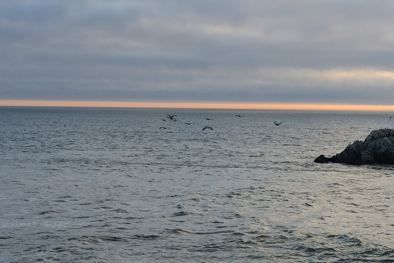 live 1028_.jpg