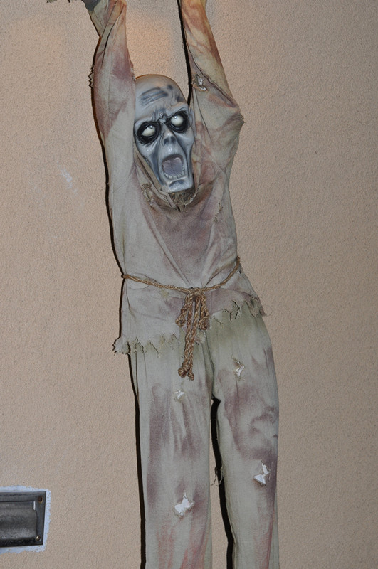 Halloween 008_.jpg