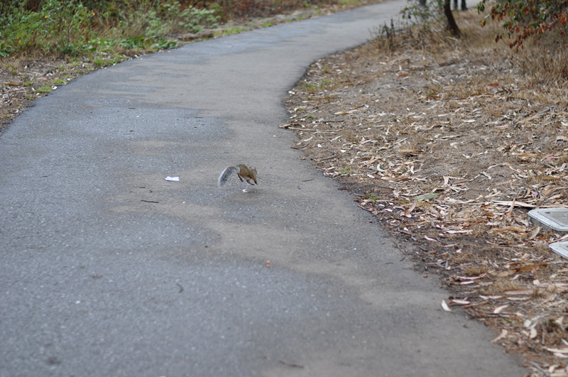 Golden gate park 126_.jpg