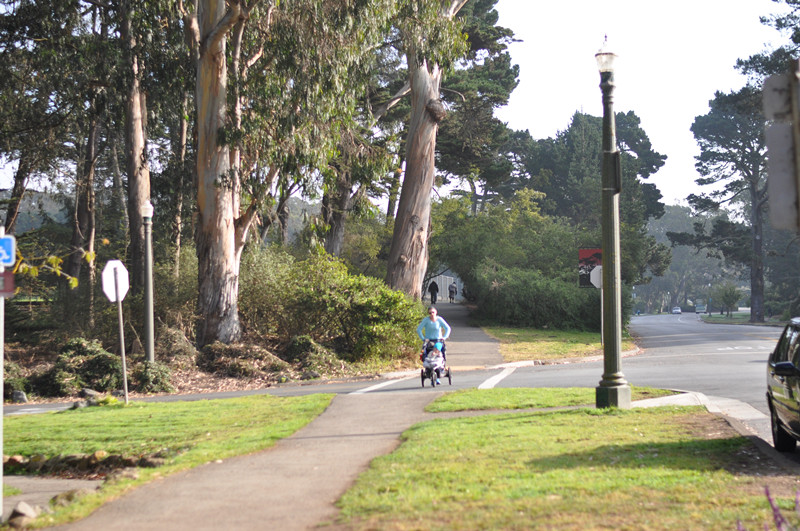 Golden gate park 161_.jpg