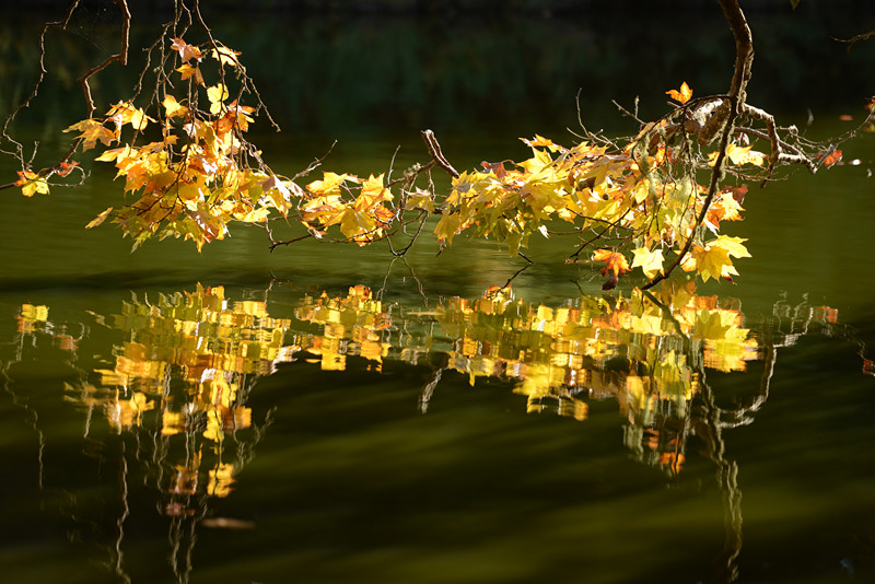 184_35925_4cbe92699a2b8fe.jpg